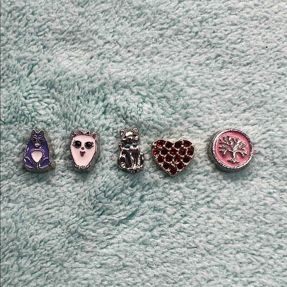 Floating Locket Charms - Picture 1 of 4